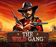 The Wild Gang